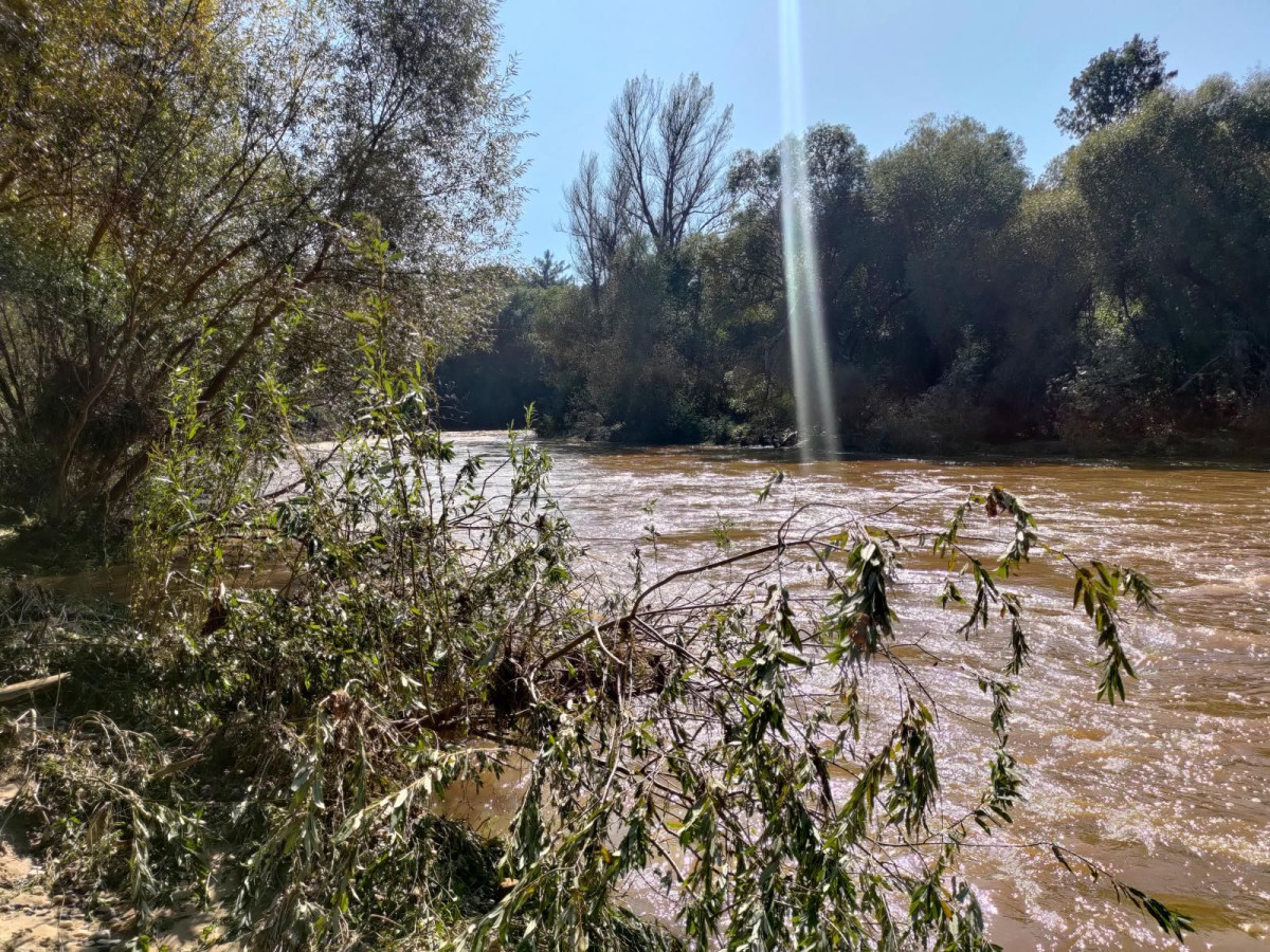 Bobrowa ścieżka po powodzi