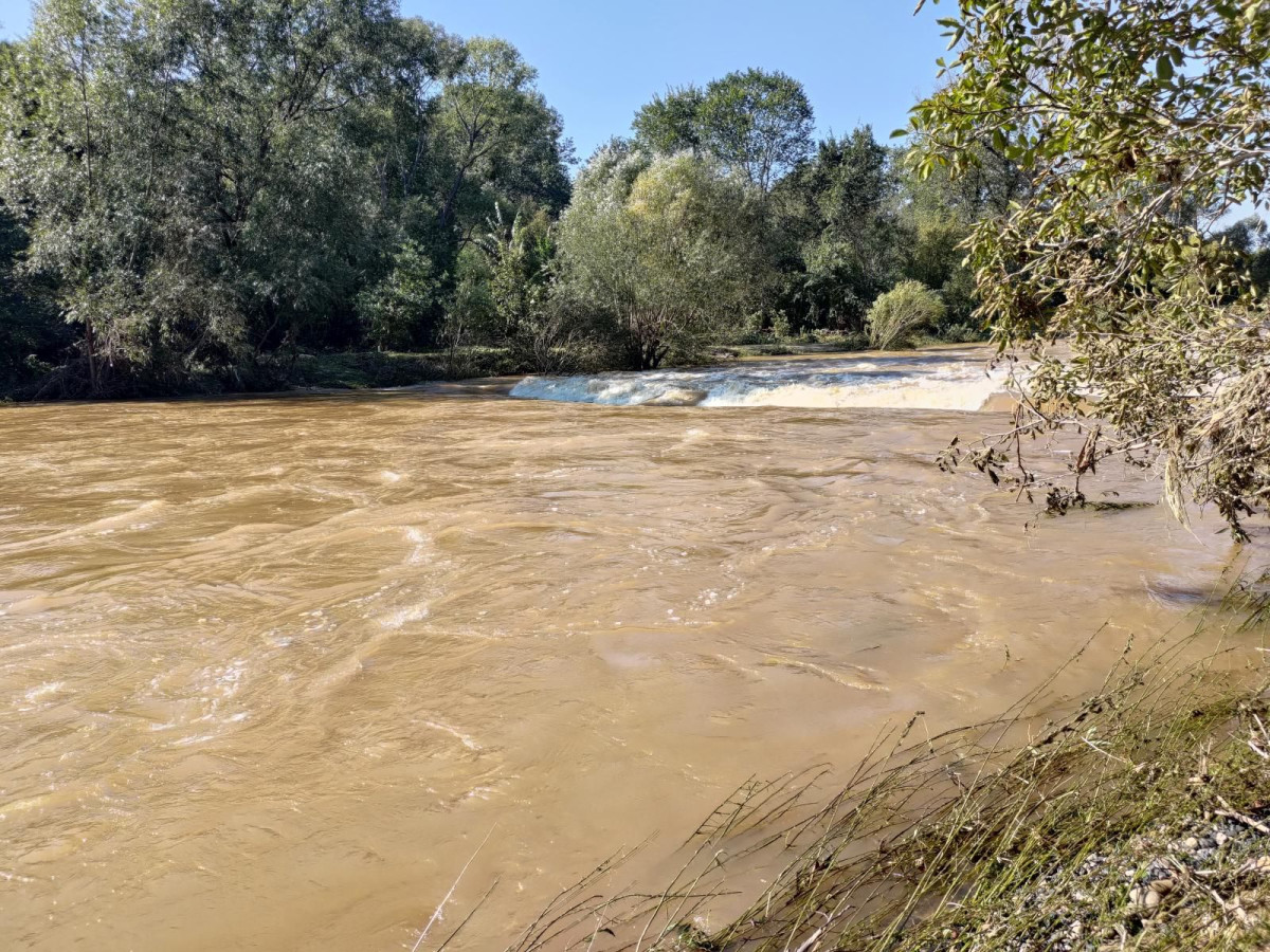 Bobrowa ścieżka po powodzi