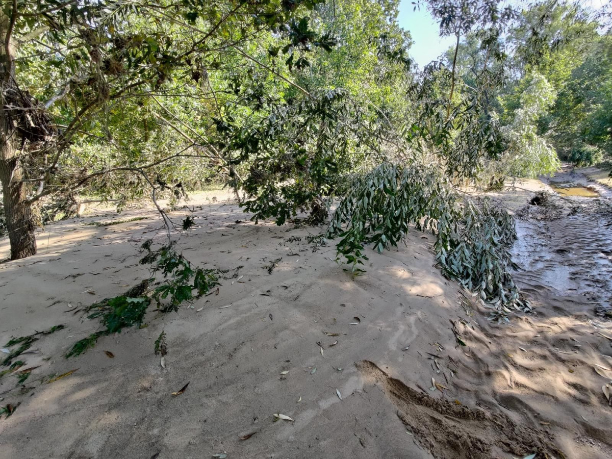 Bobrowa ścieżka po powodzi