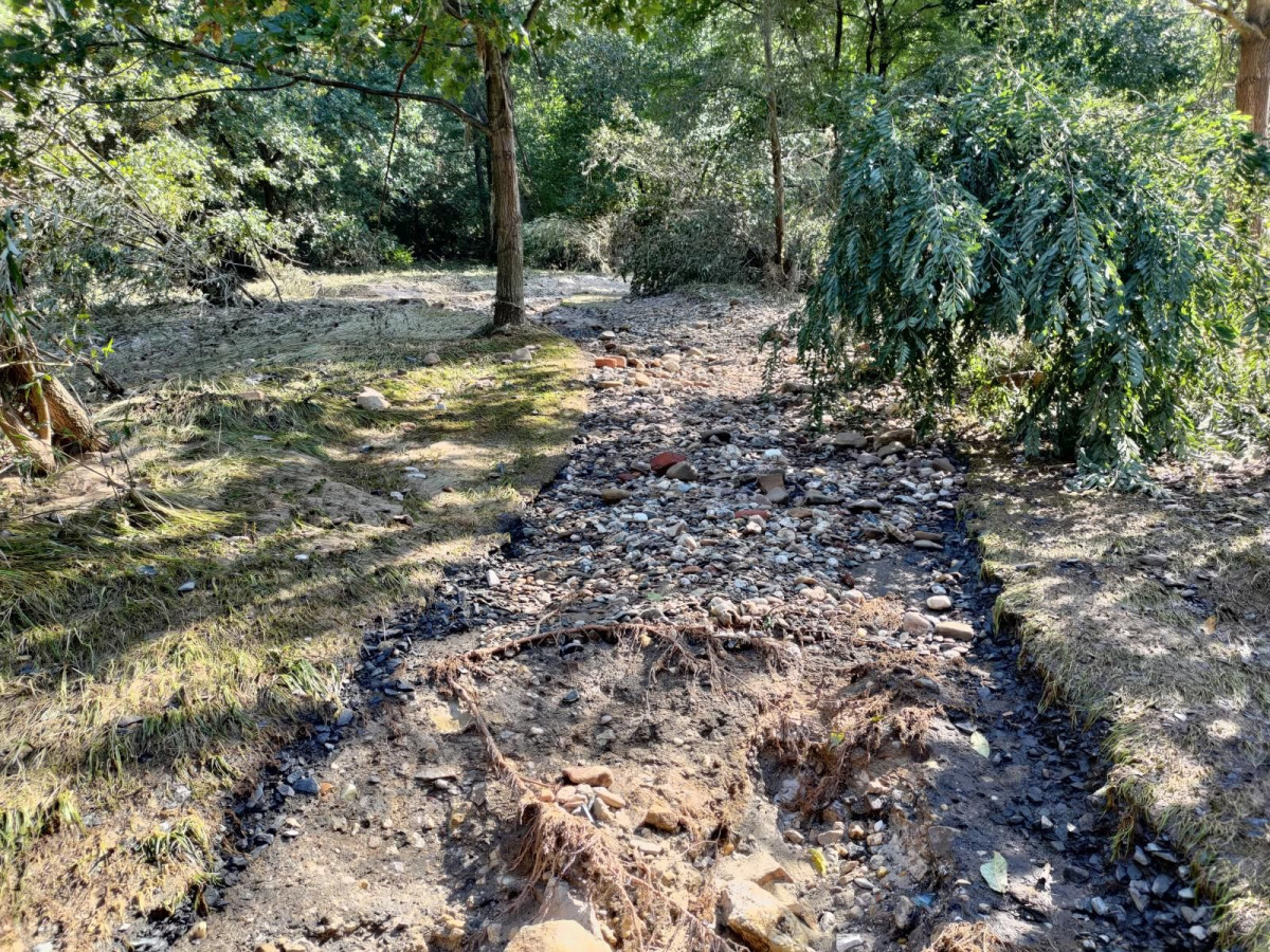 Bobrowa ścieżka po powodzi