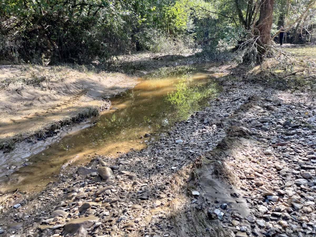 Bobrowa ścieżka po powodzi