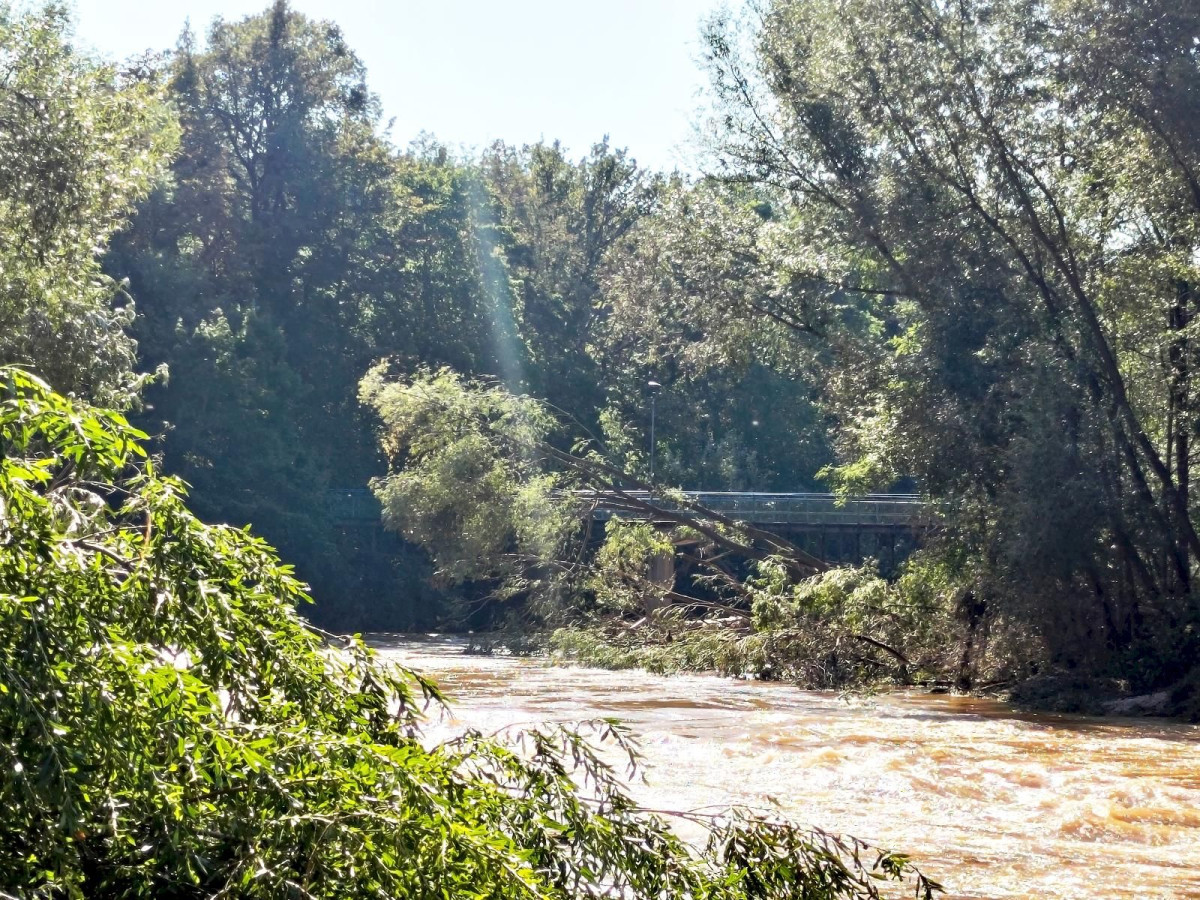 Bobrowa ścieżka po powodzi