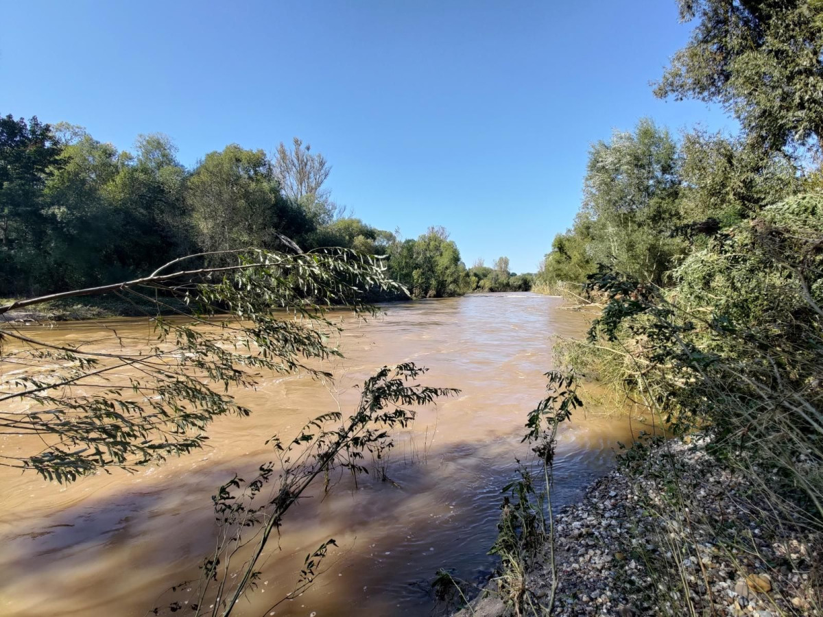 Bobrowa ścieżka po powodzi