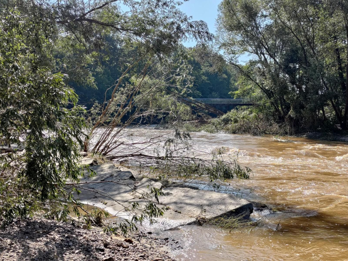 Bobrowa ścieżka po powodzi