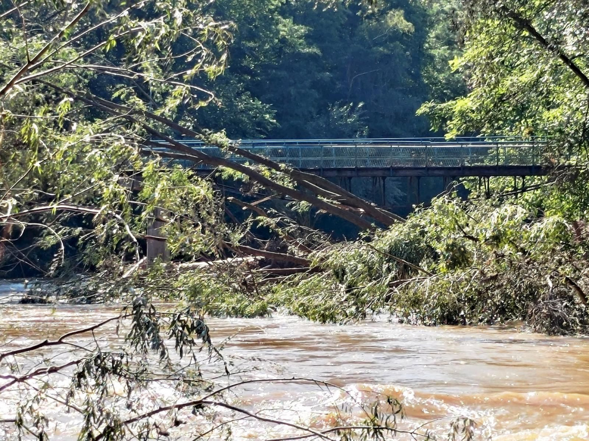 Bobrowa ścieżka po powodzi