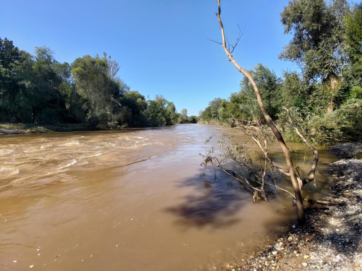Bobrowa ścieżka po powodzi