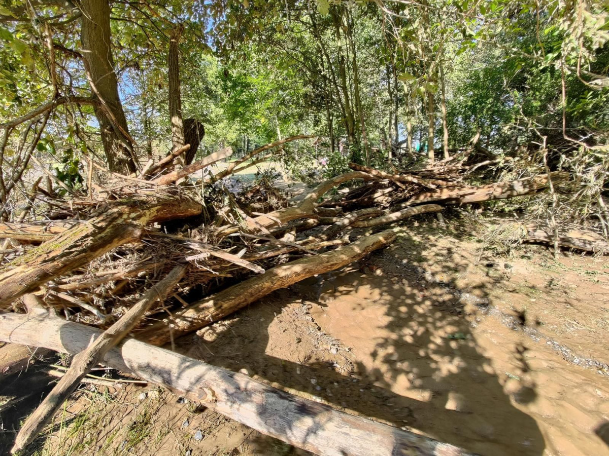 Bobrowa ścieżka po powodzi