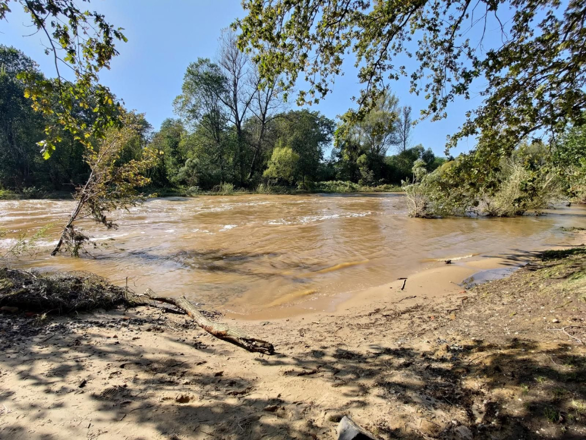 Bobrowa ścieżka po powodzi
