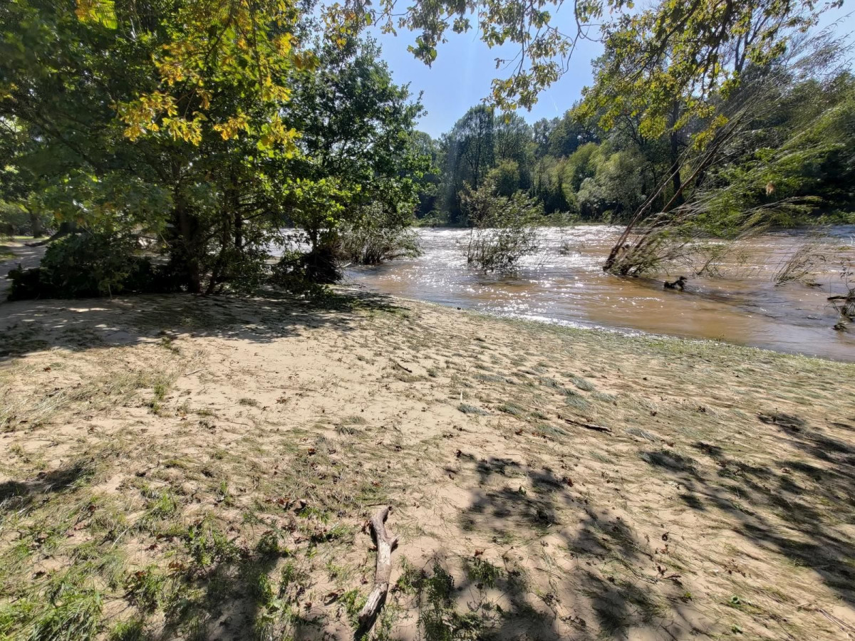 Bobrowa ścieżka po powodzi