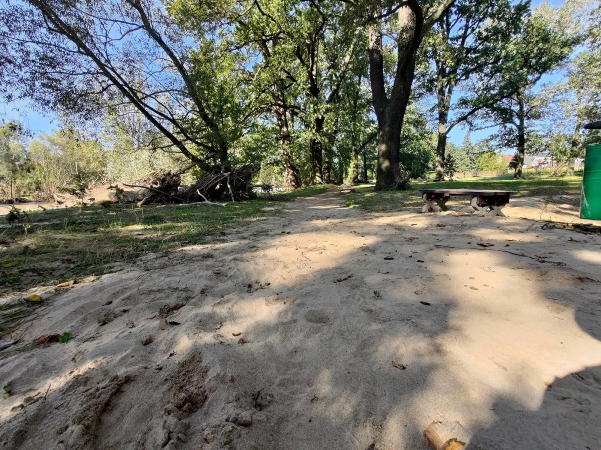 Bobrowa ścieżka po powodzi