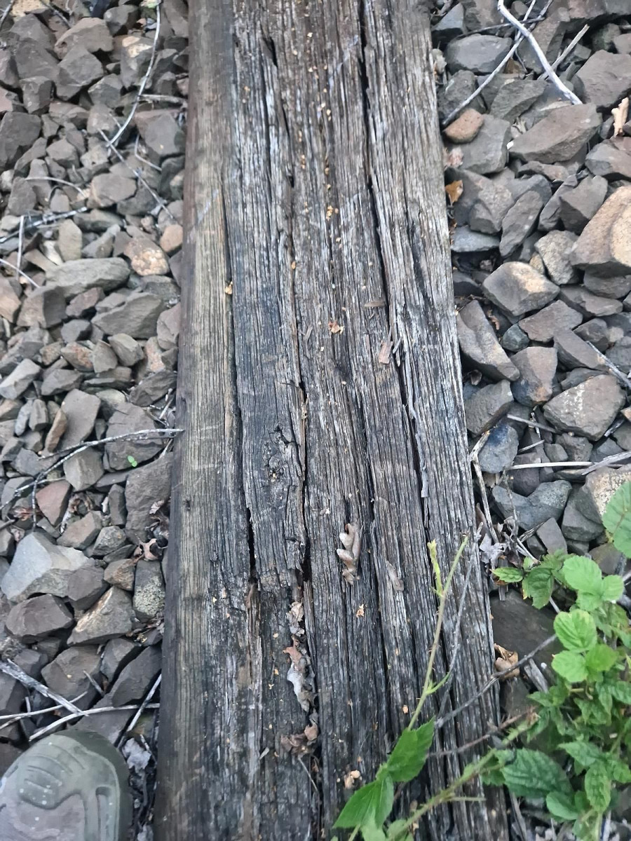 Podkłady kolejowe w Gościszowie