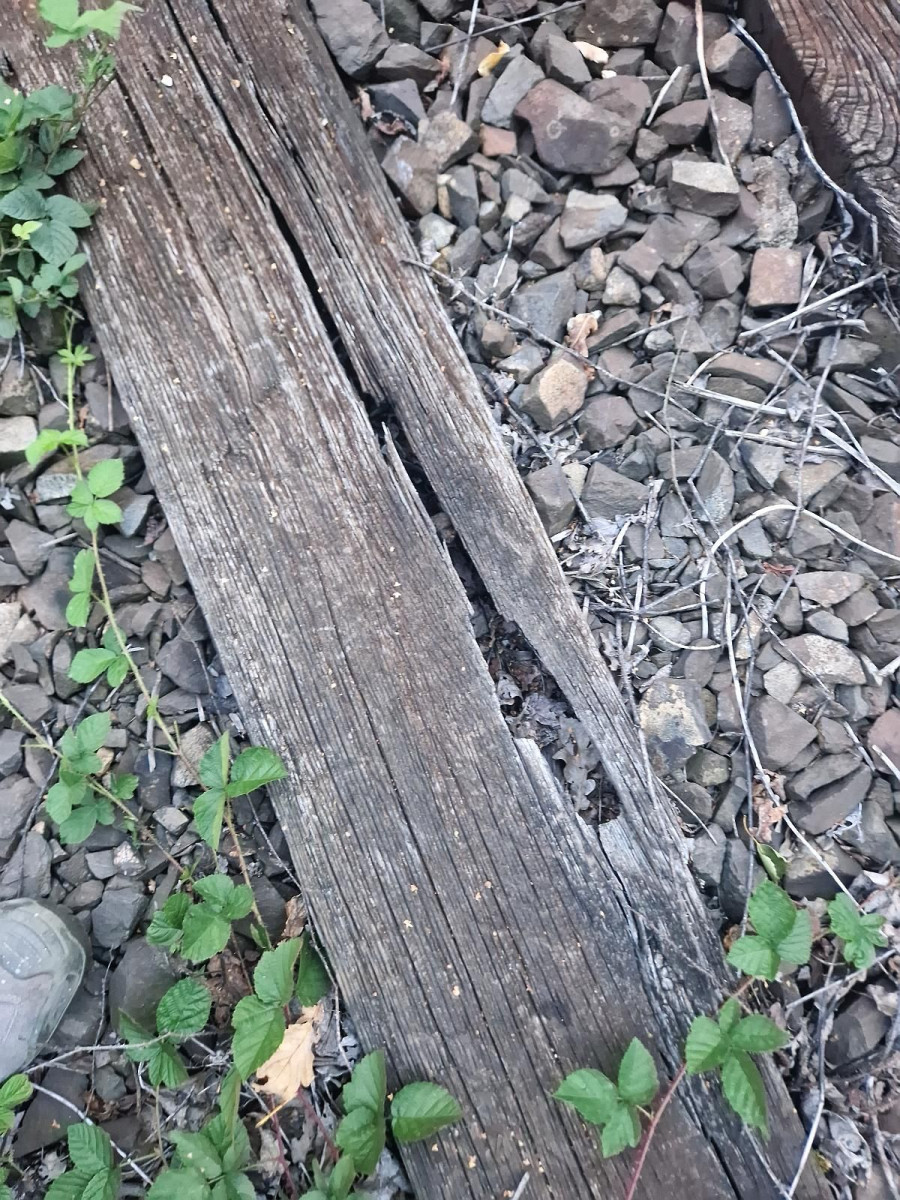 Podkłady kolejowe w Gościszowie