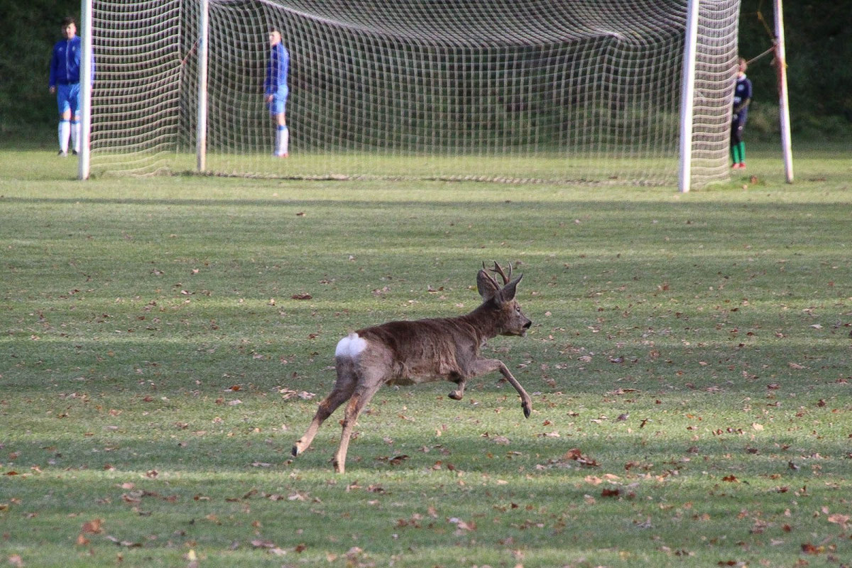 BKS wraca na Rajską i wygrywa, po dwóch golach kapitana i zarazem solenizanta