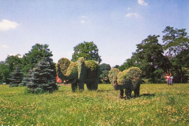 Bolesławieckie słonie ul. Zgorzelecka