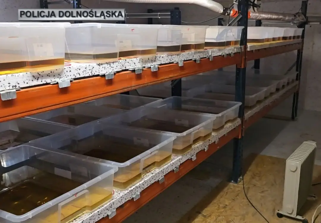 Policja: Zabezpieczono ponad 860 kg narkotyków i zatrzymano 4 osoby
