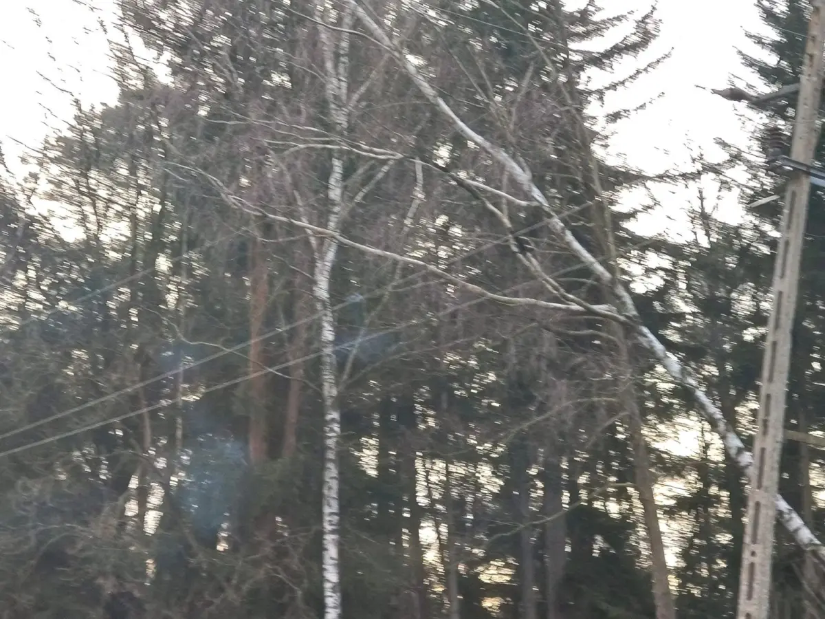 Akcja straży pożarnej