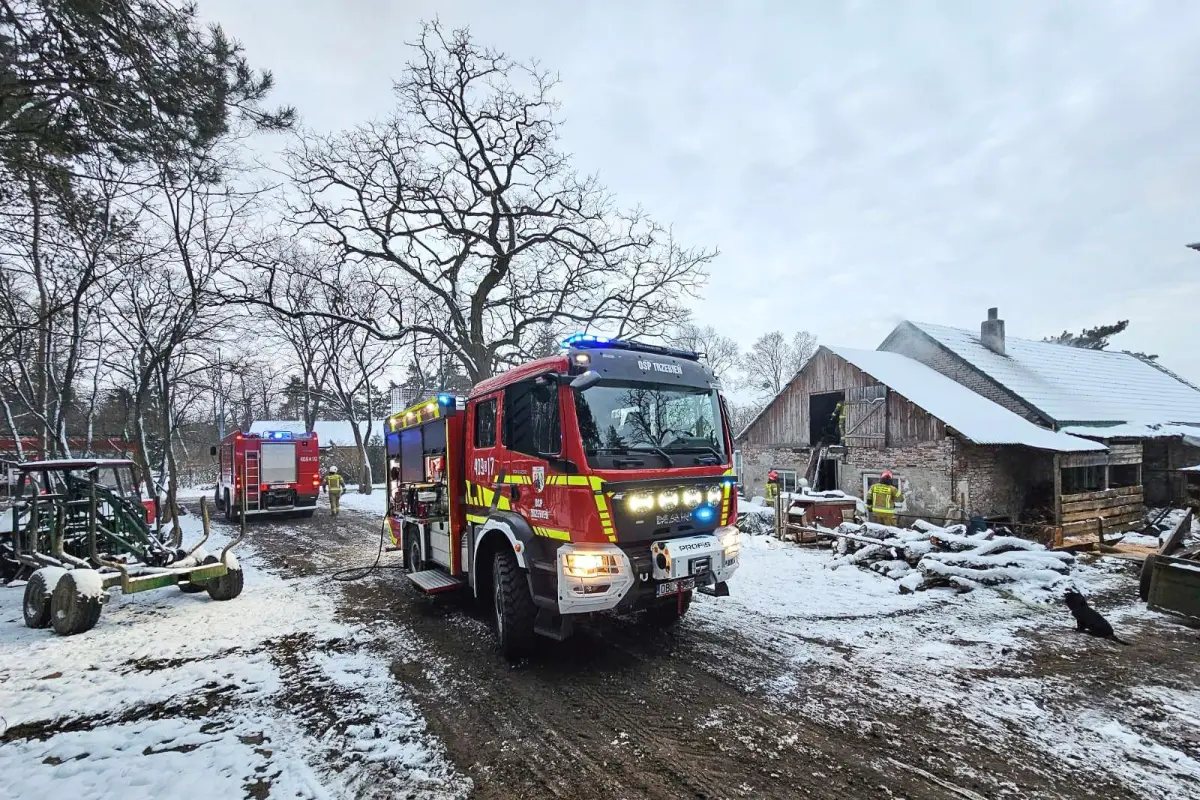 Akcja służb w Starej Olesznej