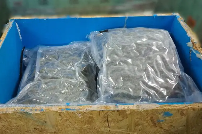 Kontrabanda