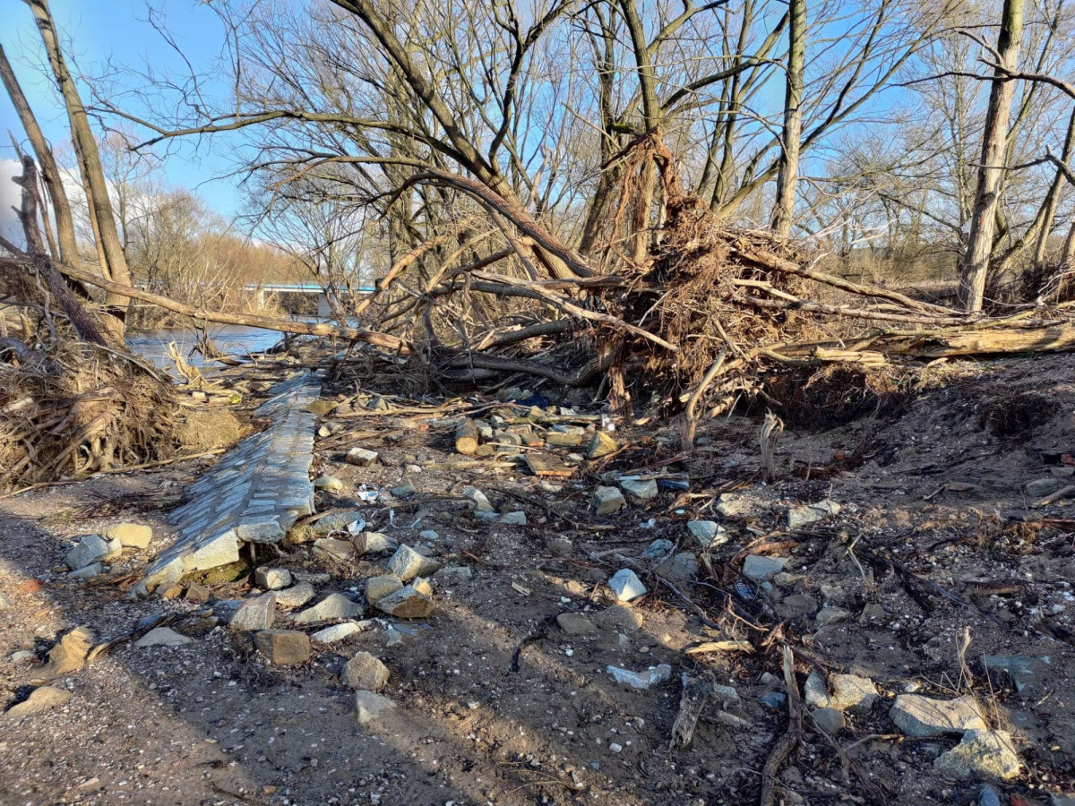 Połamane drzewa nad Bobrem w Bolesławcu