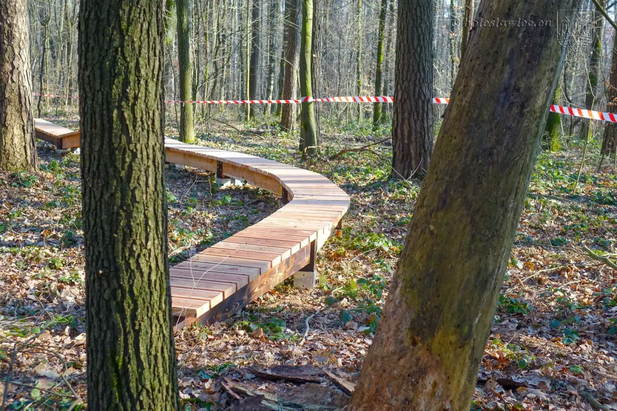Powstaje Bolesławiecki Rowerowy Park Umiejętności