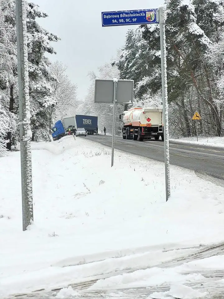Zdarzenie w Dąbrowie Bolesławieckiej