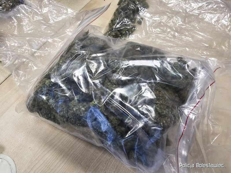 Narkotyki i podejrzany