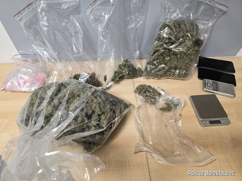 Narkotyki i podejrzany