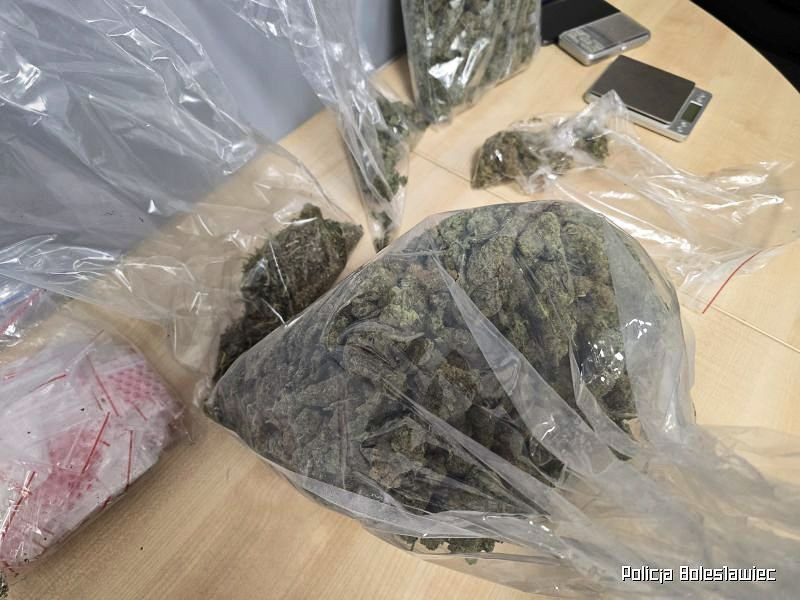 Narkotyki i podejrzany