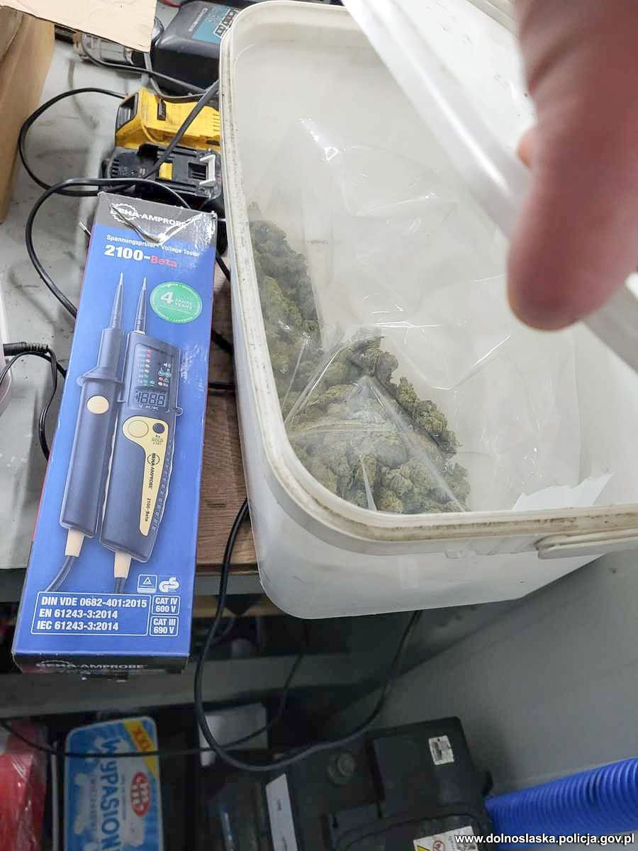 Narkotyki i podejrzany