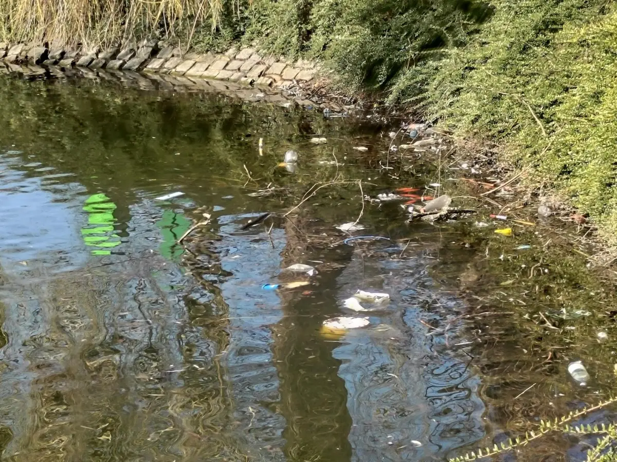 Śmieci i odpadki nad stawem miejskim w Bolesławcu