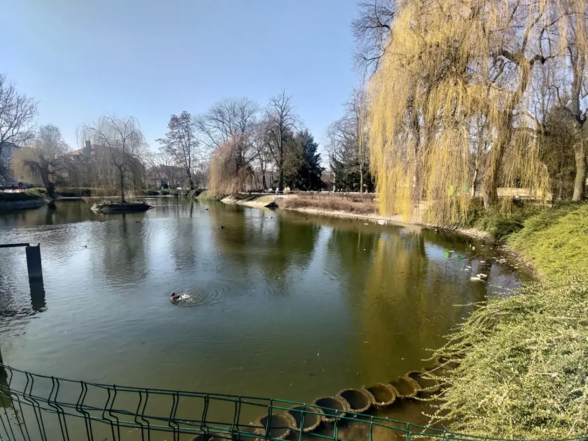 Śmieci i odpadki nad stawem miejskim w Bolesławcu