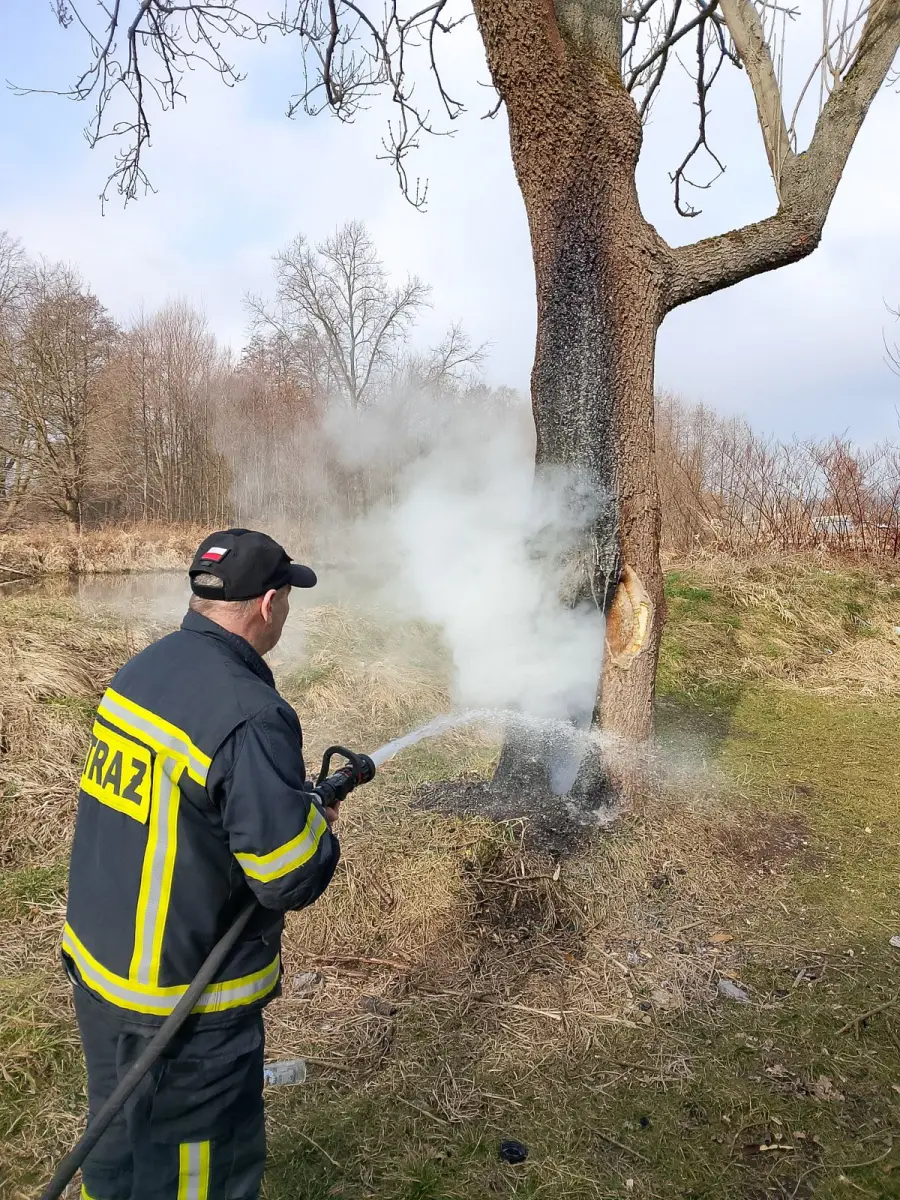 Działania OSP Nowogrodziec