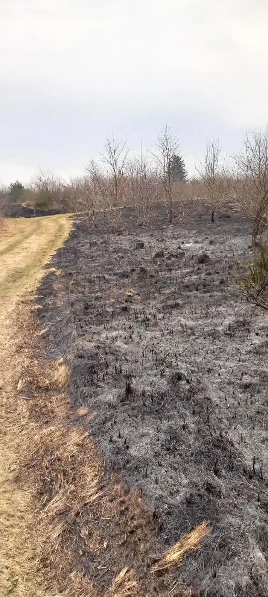 Pożar na strefie
