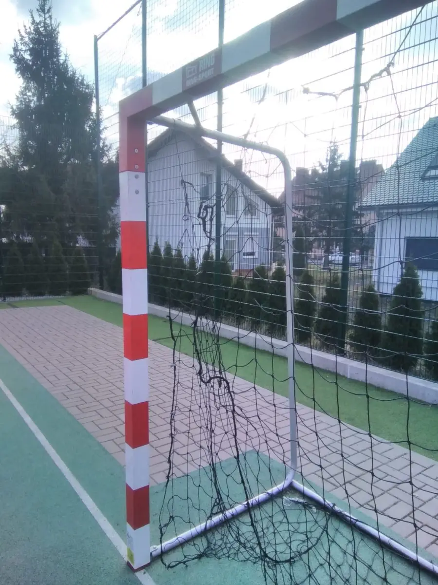 Działania wandali