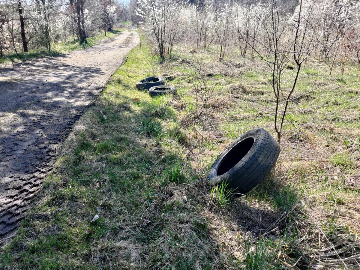 Zaśmiecona okolica Obwodnicy Bolesławca