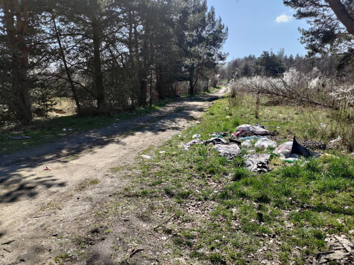 Zaśmiecona okolica Obwodnicy Bolesławca