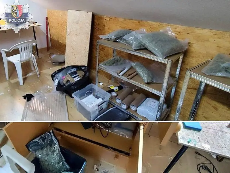 Narkotyki i podejrzani