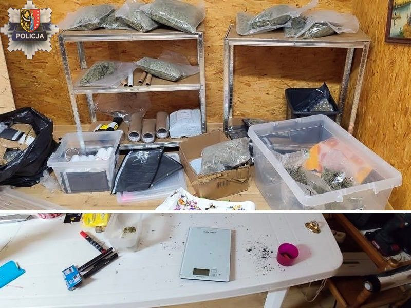 Narkotyki i podejrzani