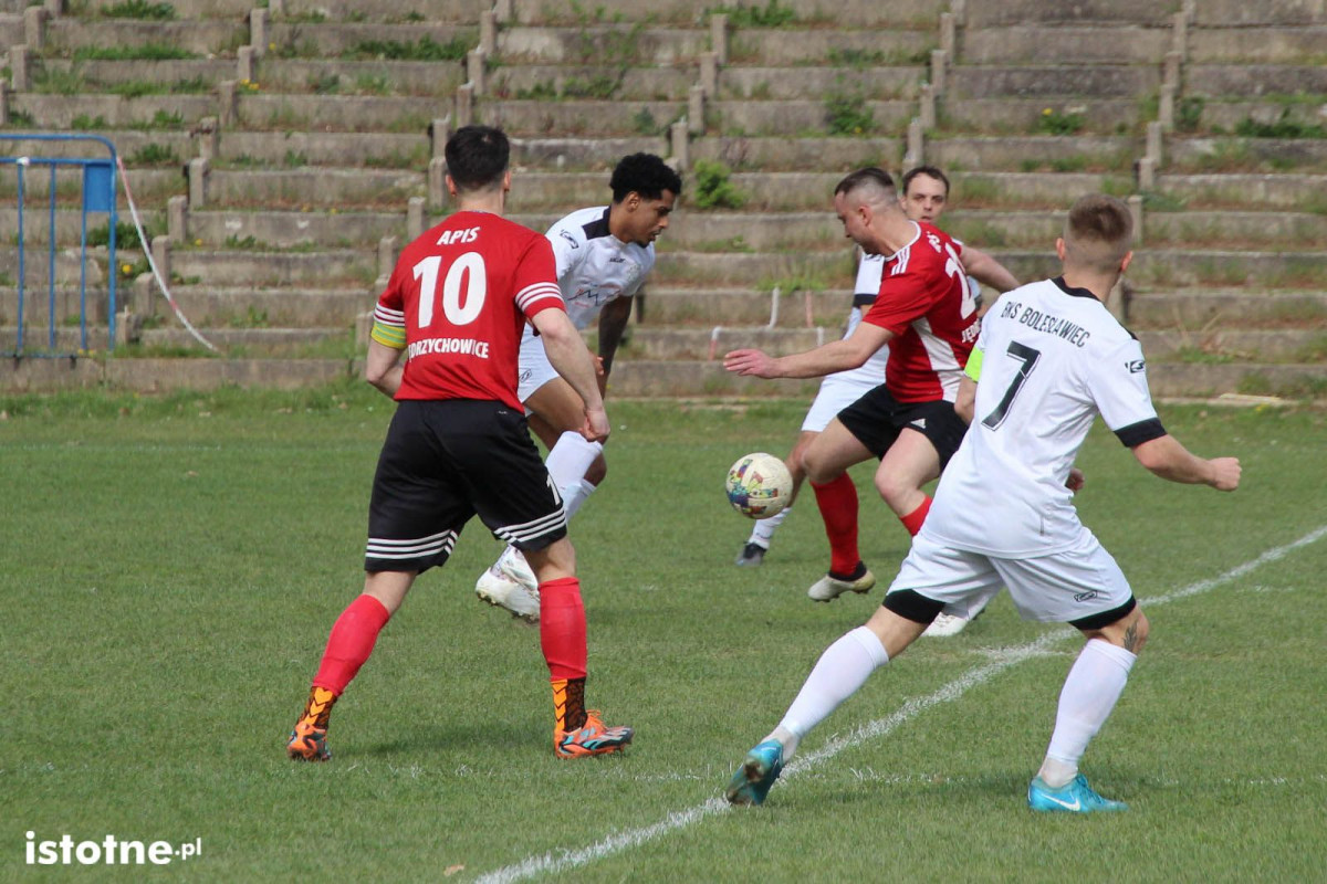 Galeria z meczu BKS Bolesławiec - Apis Jędrzychowice