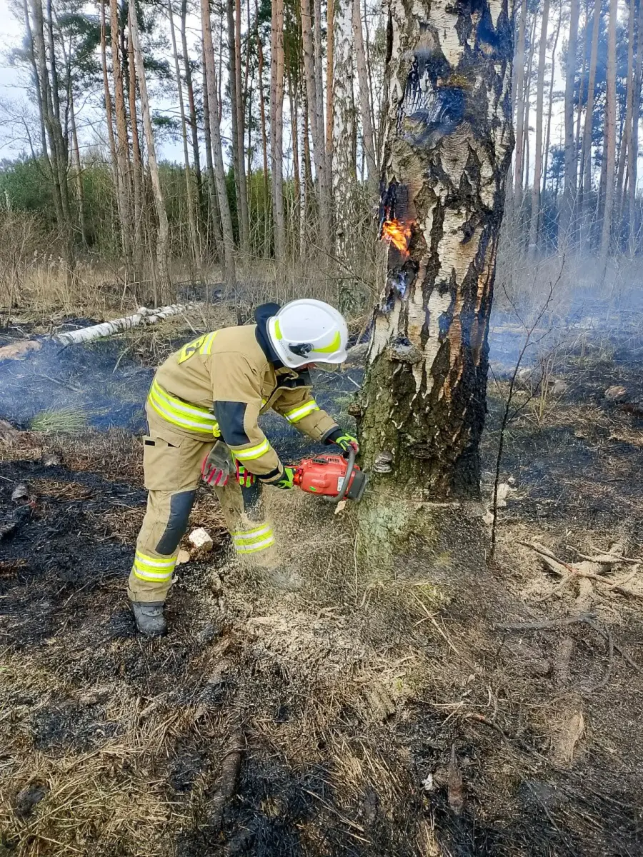 Pożar lasu