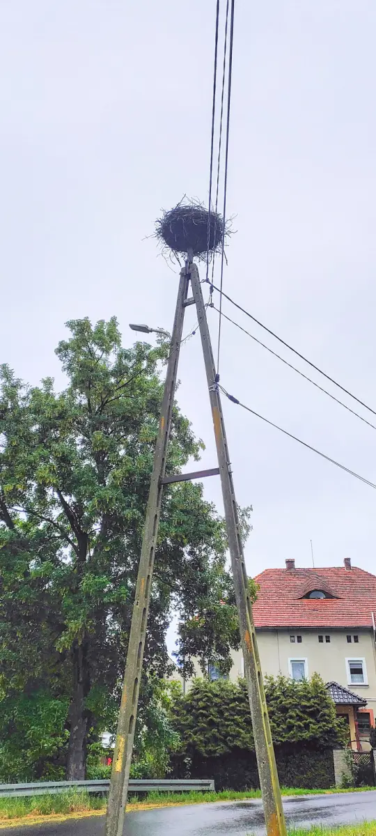 Akcja strażaków