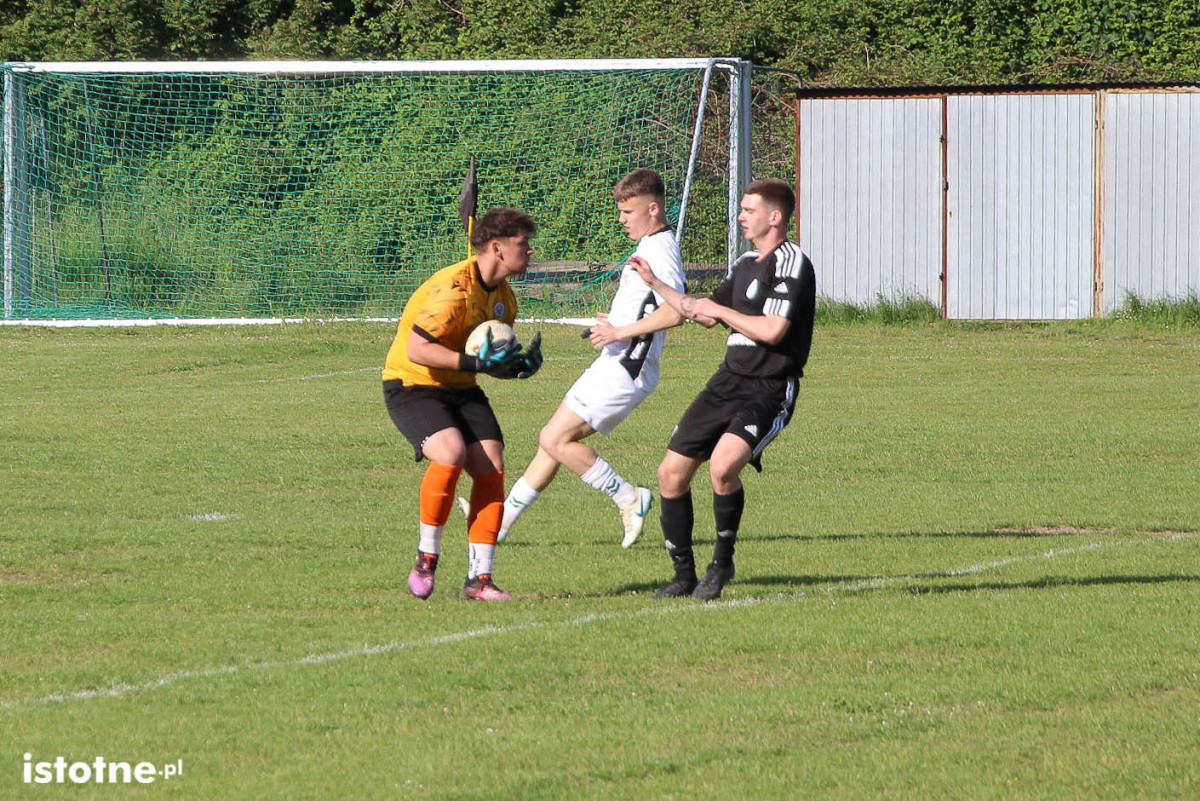 Galeria z meczu BKS Bolesławiec - Olimpia Kamienna Góra