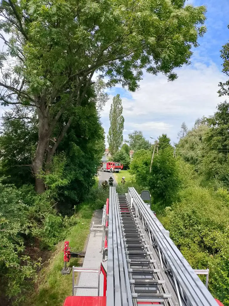 Działania OSP