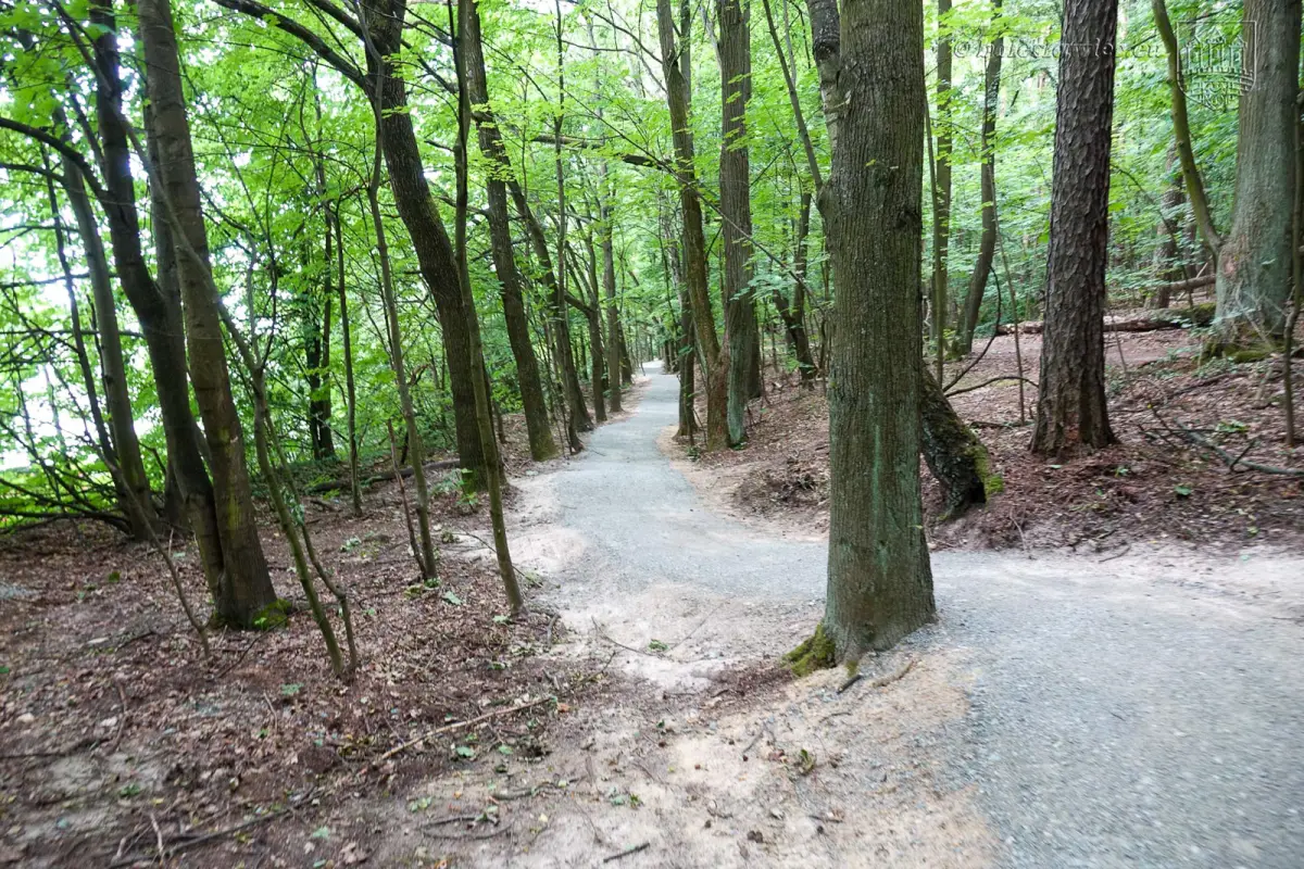 Park