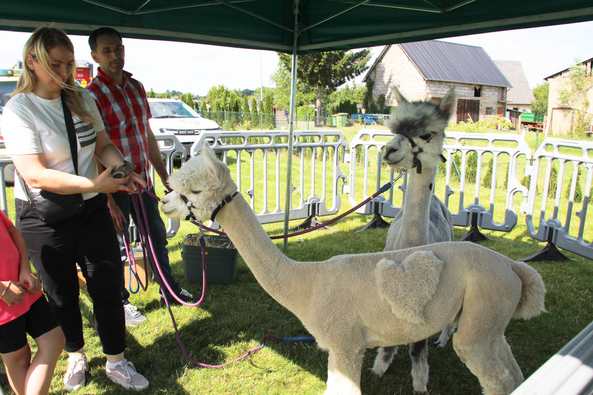 Festiwal Kresowe Echa - Żeliszów 2025
