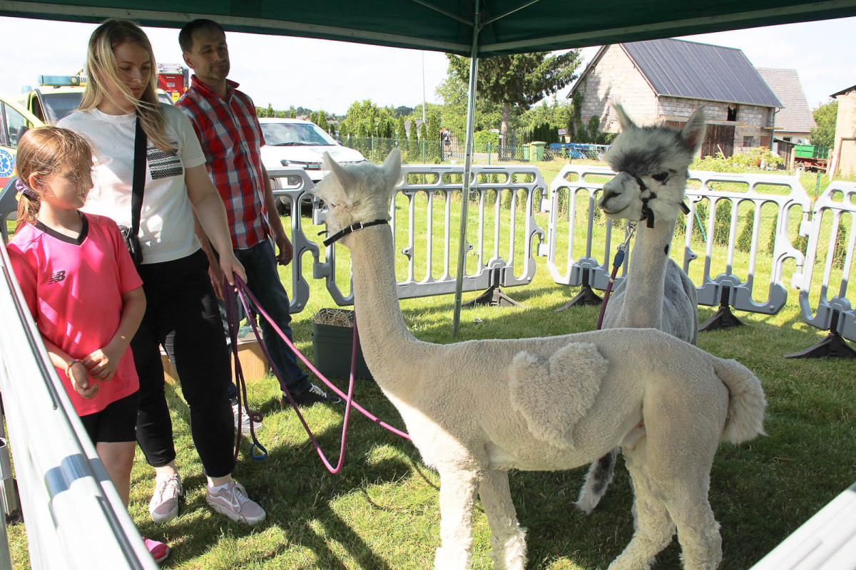 Festiwal Kresowe Echa - Żeliszów 2025