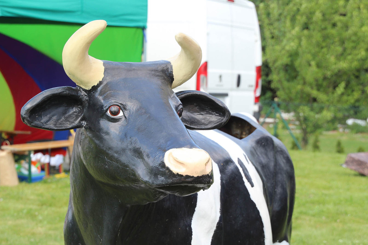 Festiwal Kresowe Echa - Żeliszów 2025