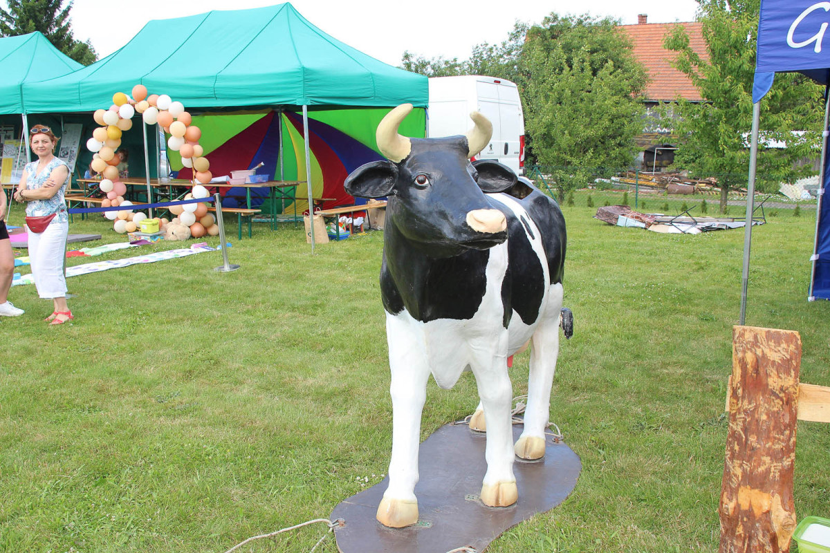 Festiwal Kresowe Echa - Żeliszów 2025