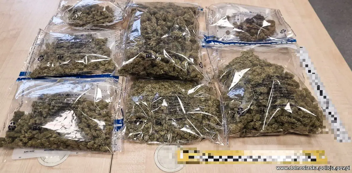 marihuana