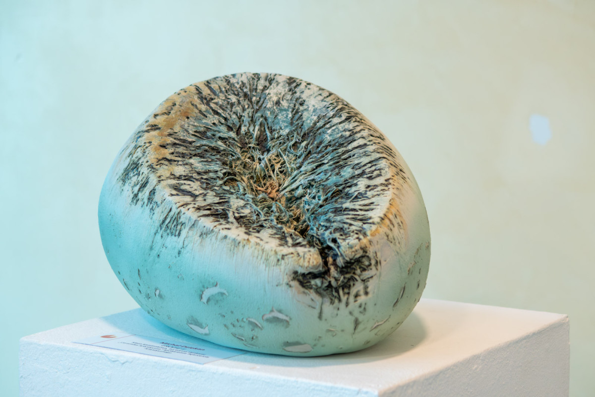 Międzynarodowy Plener Ceramiczno-Rzeźbiarski: rzeźba Michała Dziekana